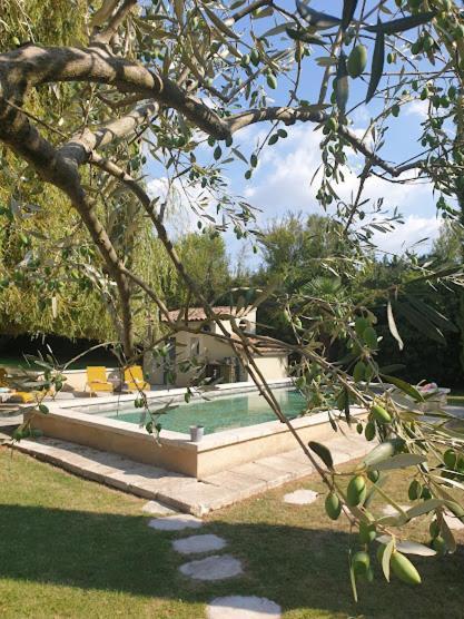 Mas Des Muses LʼIsle-sur-la-Sorgue Exterior foto